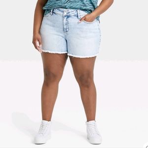 Acid Wash Denim Shorts 20W